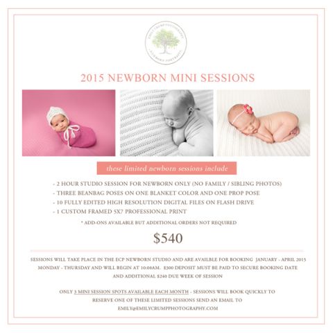 2015NewbornMiniSessionSD