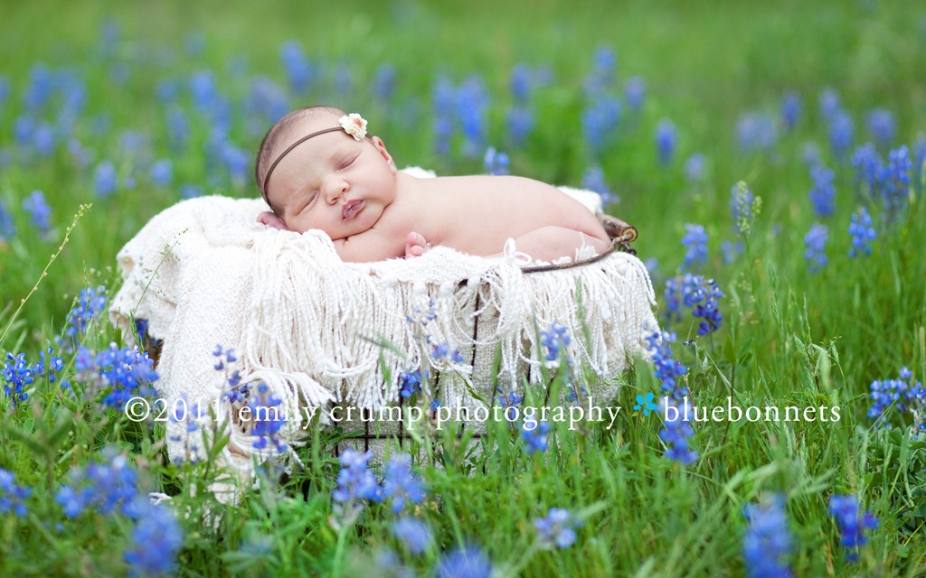 Babies Bluebonnets Houston Texas Newborn Bluebonnet Photographer Emily Crump Photography Houston s Premier Newborn Baby and Children s Photographer