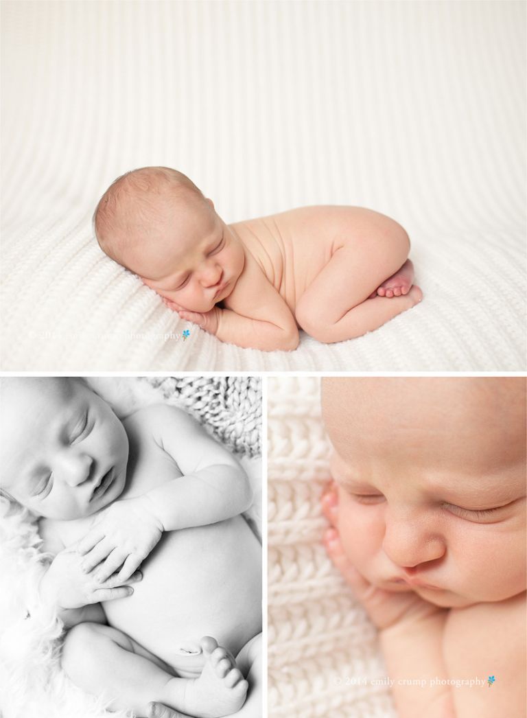 houston newborn photography