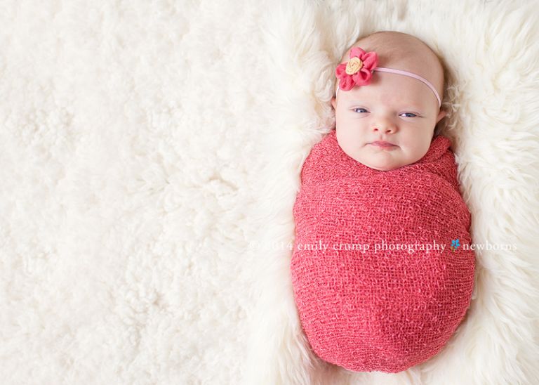 Newborn Photography Houston