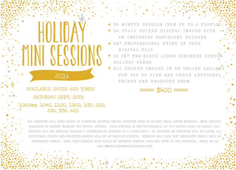 2014 Holiday Mini Sessions