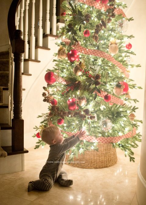 Houston Christmas Tree Photography