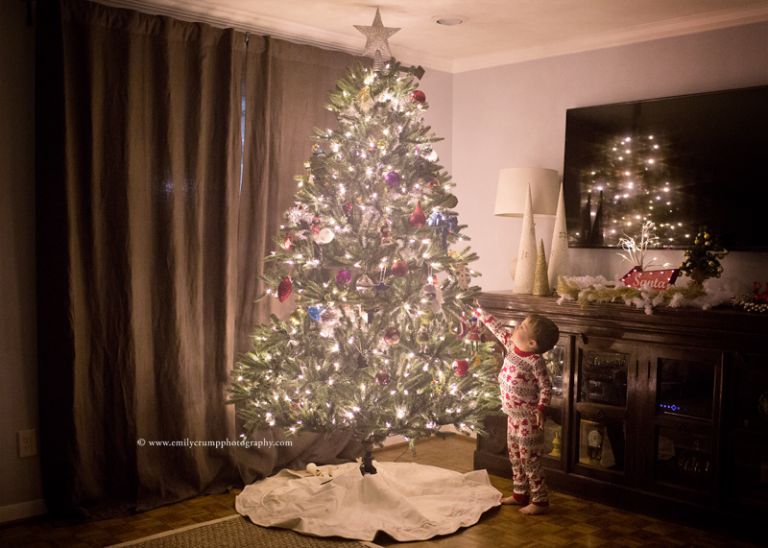 Houston Christmas Tree Photographer
