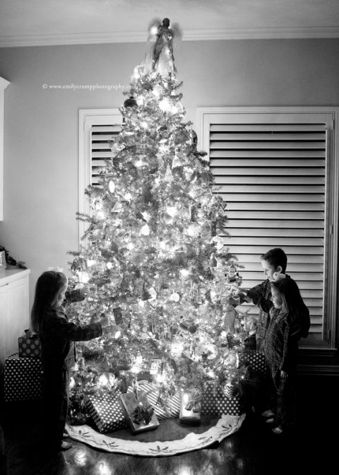 Houston Family Christmas Tree Photos