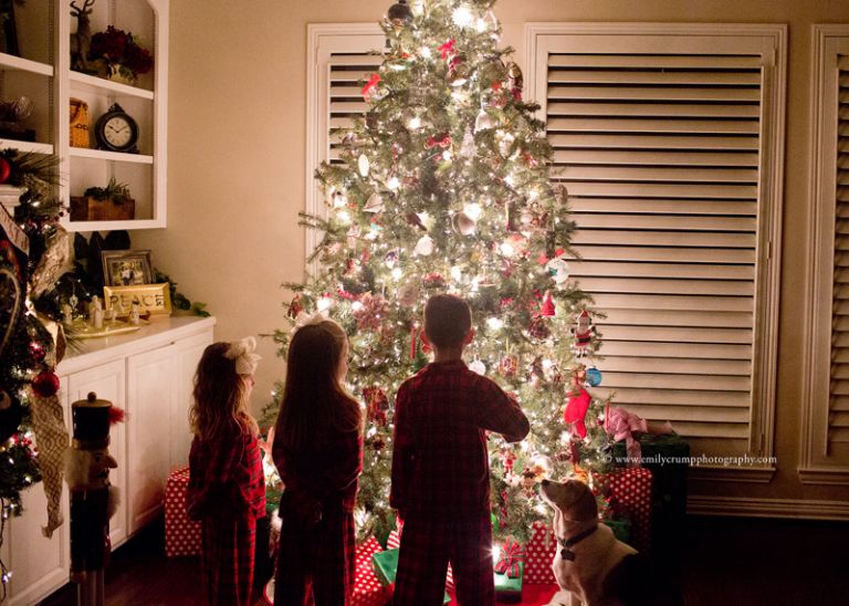 Houston Family Christmas Tree Photos