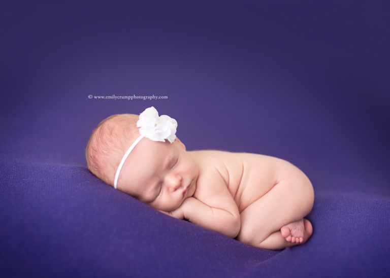 Sugarland Newborn Photography 