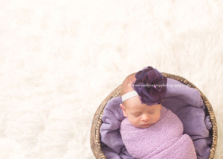Sugarland Newborn Photography 