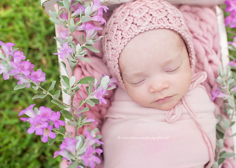Katy Lifestyle Newborn Baby Photography