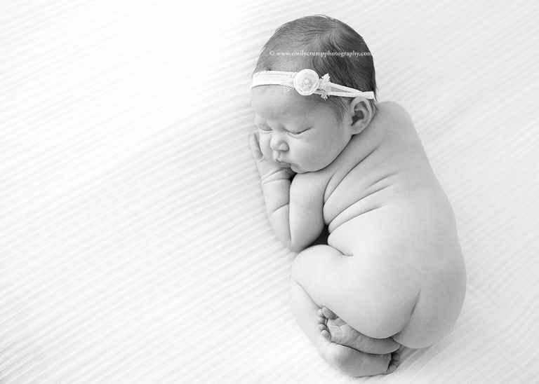 Magnolia Newborn Baby Photography