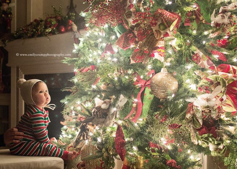 Christmas Tree Photography