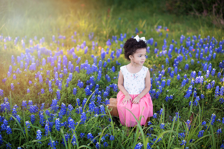 Tips for the Best Bluebonnet Photos